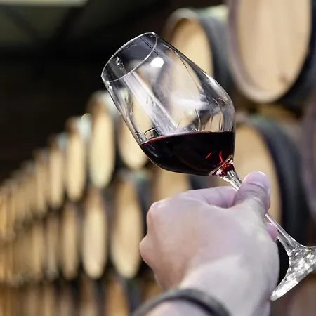 Urban Comfort @ Bonfim Boutique Flats Apartament